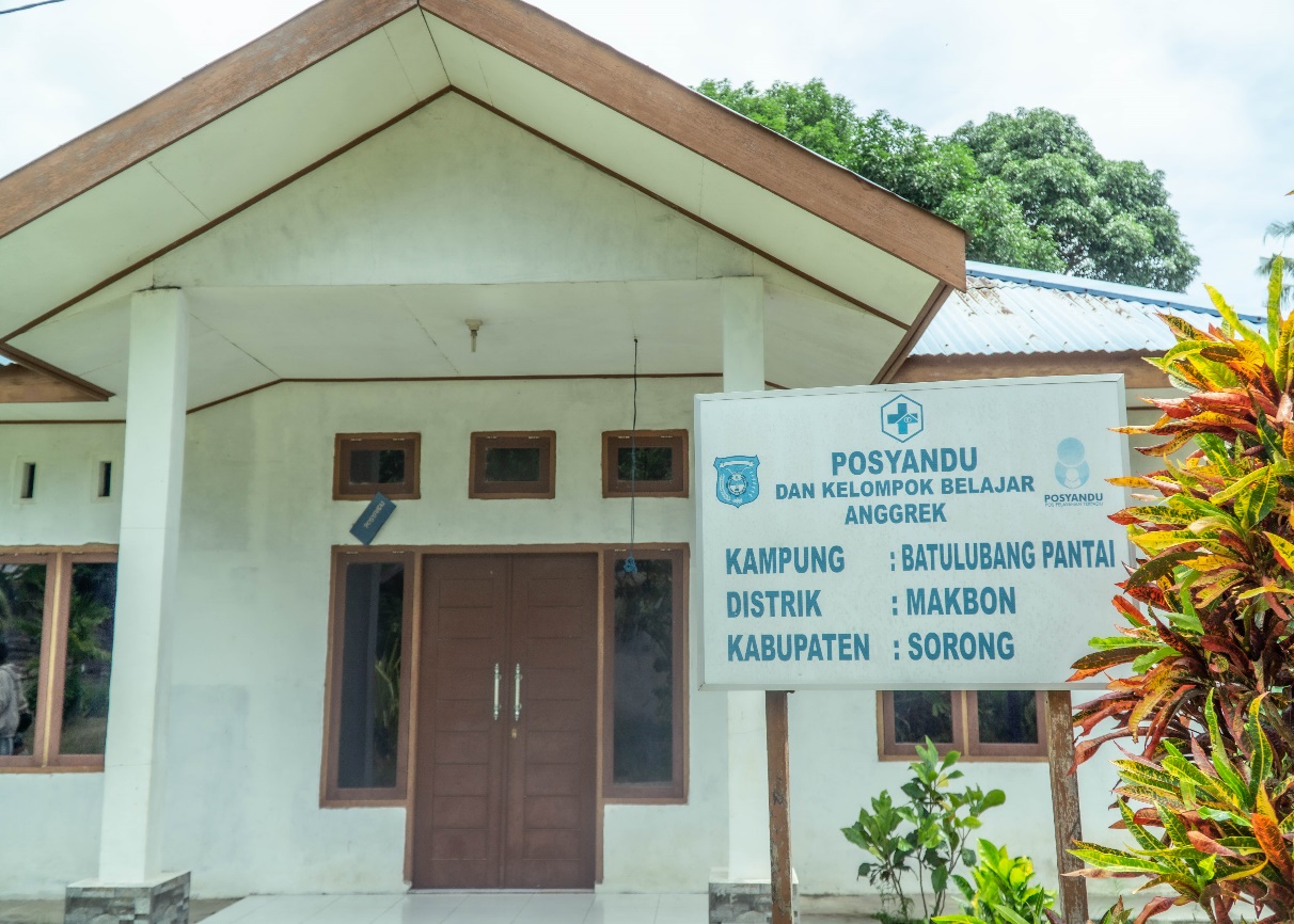 Posyandu Posyandu